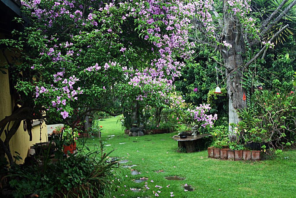 Hostal Saint Mary'S Табабела Екстер'єр фото